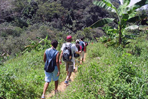 Hiking in Florianopolis